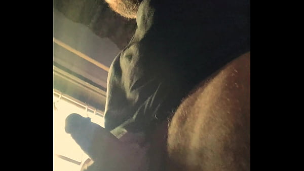 lluvia de penes – bad wolf28